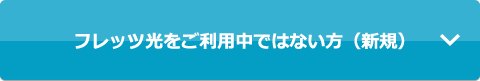 フレッツ光をご利用中ではない方（新規）