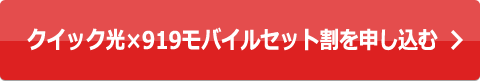 クイック光×919モバイルセット割を申し込む